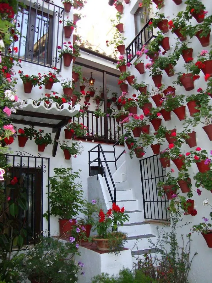 Апартаменты El Balcon De La Juderia Кордова Испания