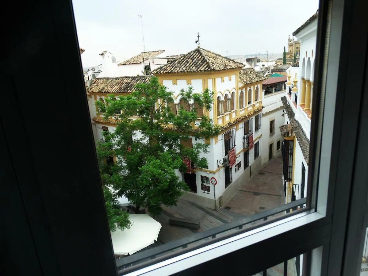 Апартаменты El Balcon De La Juderia Кордова 0*,